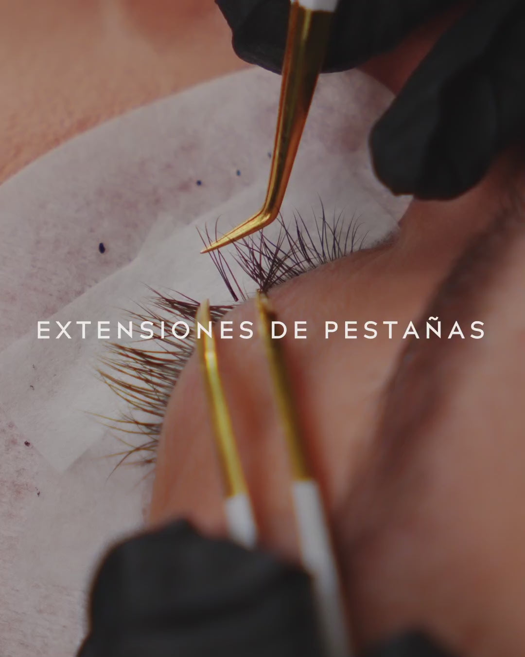FAN LASH XL