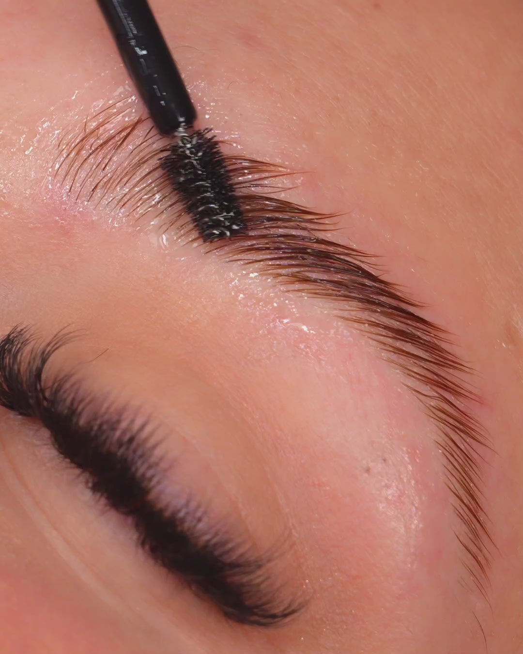 KIT BrowLift