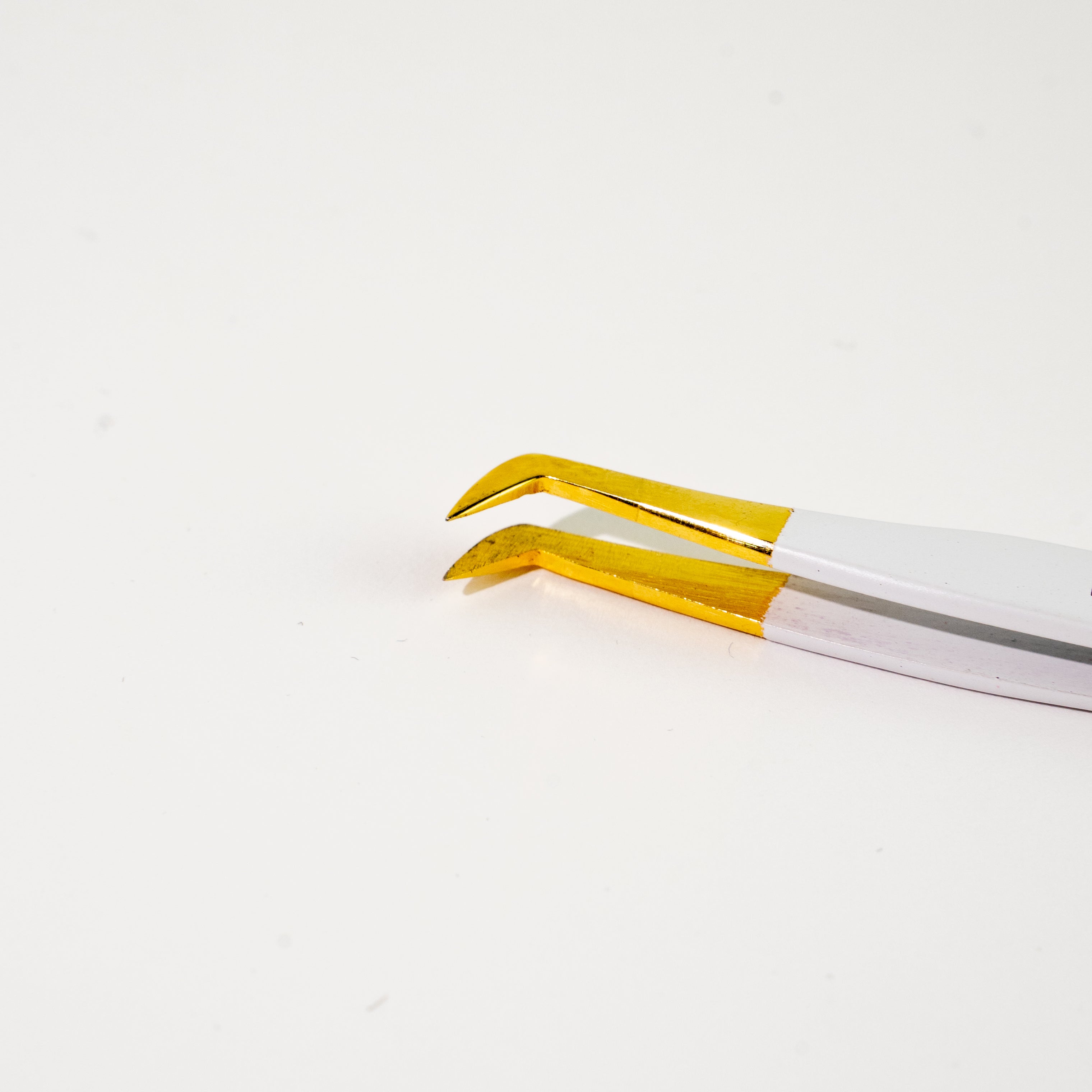 25º Master · Pinza Volumen