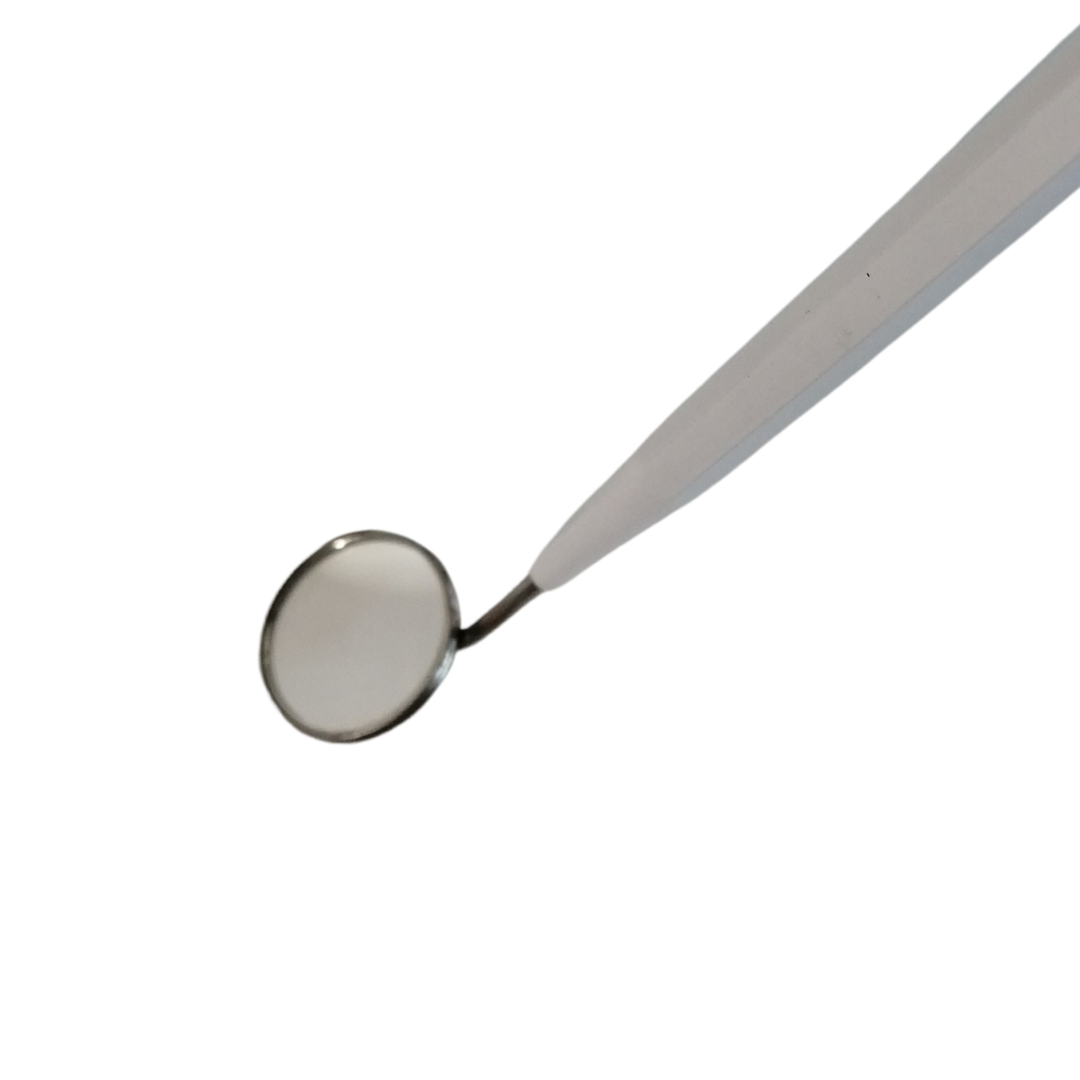 Lash Mirror